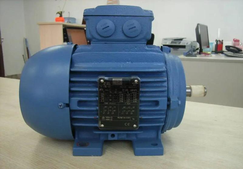 Three-Phase General Purpose Motors WEG W22